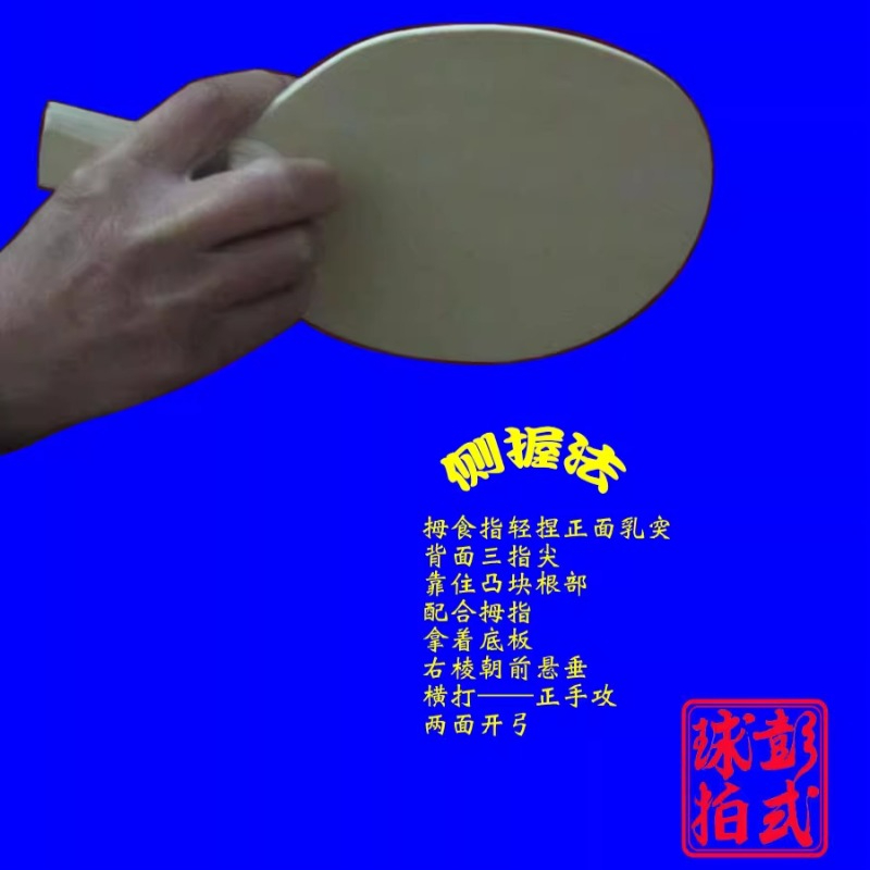 Chinese/Japanese Style Table T - đánh giá và giá Table Tennis In Japanese